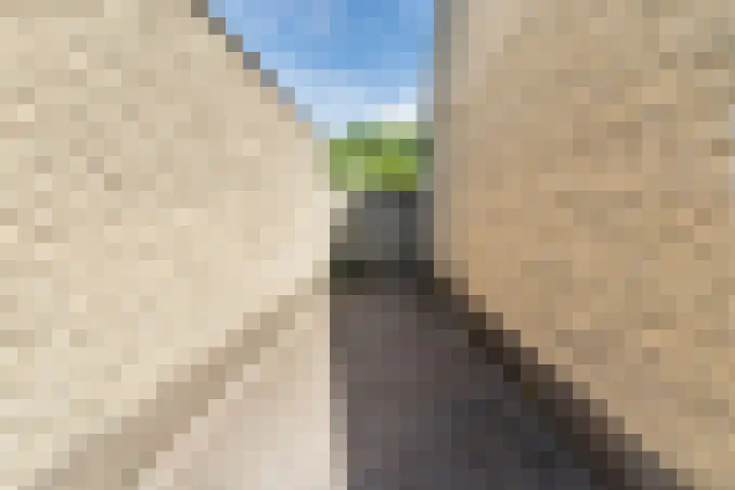 Zilverpark 171 's-Hertogenbosch thumbnail 33