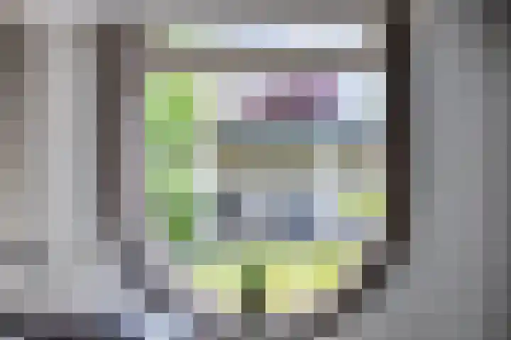 Zilverpark 52 's-Hertogenbosch thumbnail 21