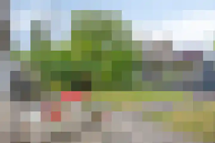 Zilverpark 52 's-Hertogenbosch thumbnail 41