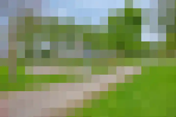 Zilverpark 52 's-Hertogenbosch thumbnail 47