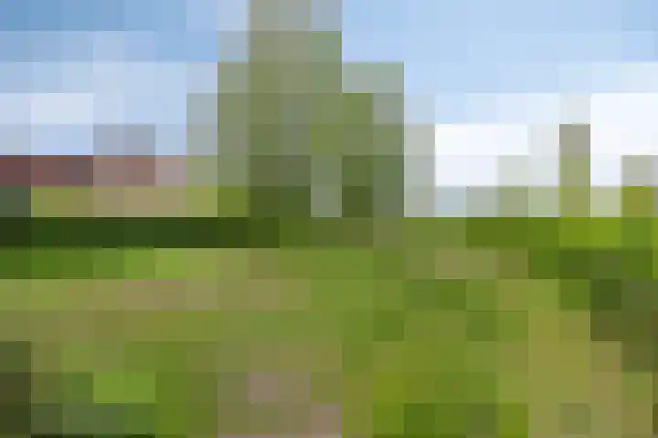 Zilverpark 52 's-Hertogenbosch thumbnail 48