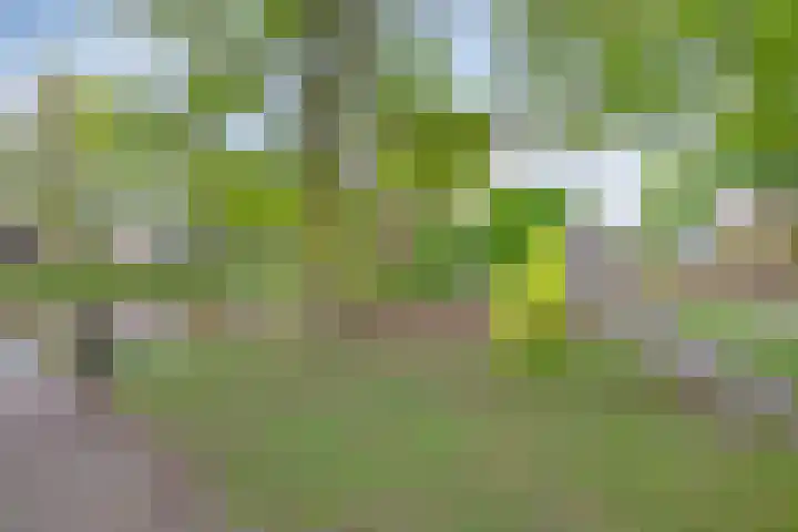 Zilverpark 52 's-Hertogenbosch thumbnail 49