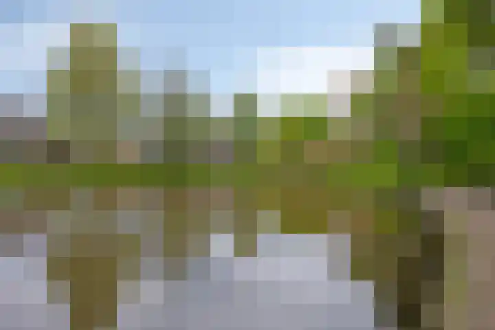 Zilverpark 52 's-Hertogenbosch thumbnail 50