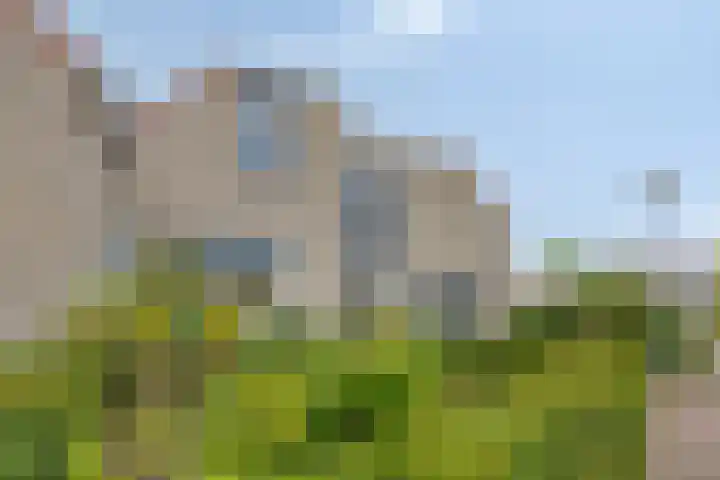Zilverpark 52 's-Hertogenbosch thumbnail 7