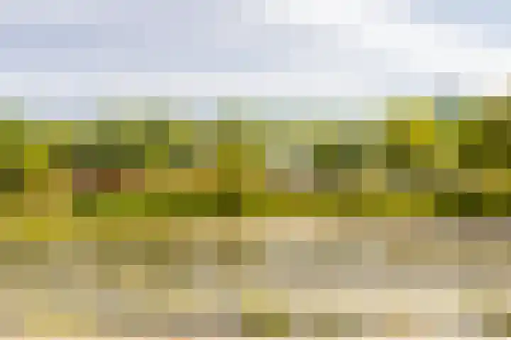 Zilverparkkade 41 Lelystad thumbnail 32