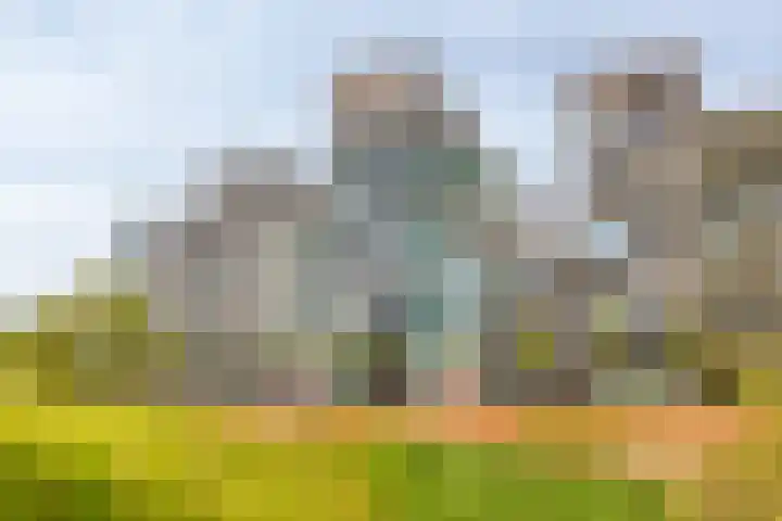 Zilverparkkade 41 Lelystad thumbnail 37