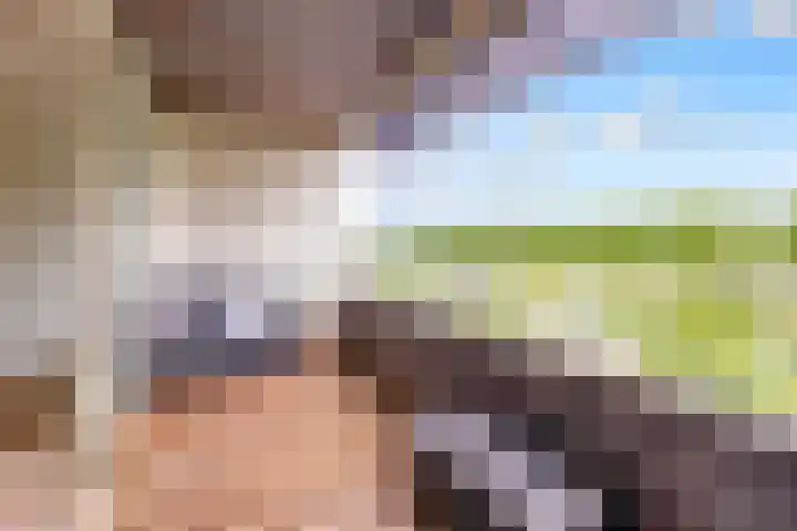 Zilverparkkade 87 Lelystad thumbnail 14