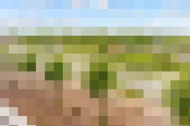 Zilverparkkade 87 Lelystad thumbnail 21