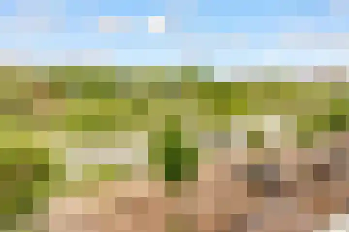 Zilverparkkade 87 Lelystad thumbnail 22