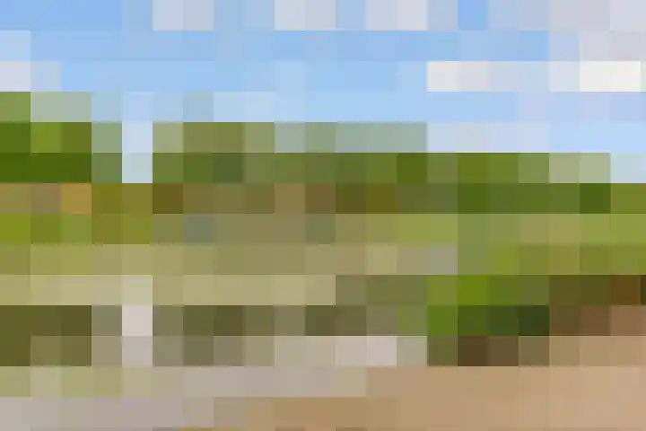 Zilverparkkade 87 Lelystad thumbnail 25