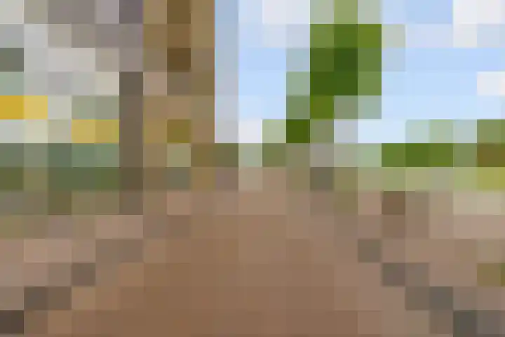 Zilverparkkade 87 Lelystad thumbnail 26