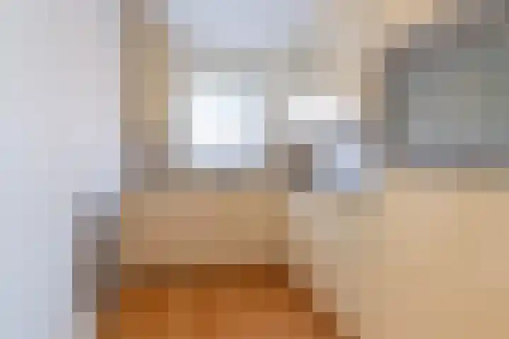 Zilverplak 7 Tegelen thumbnail 16