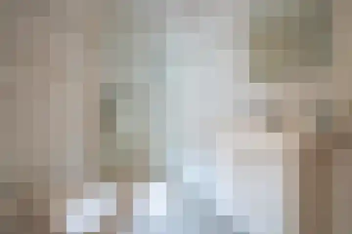 Zilverplak 7 Tegelen thumbnail 23