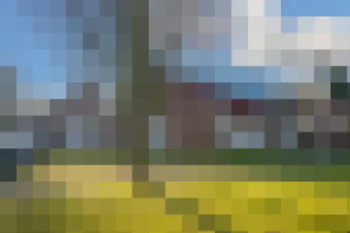 Zilverplak 7 Tegelen thumbnail 37