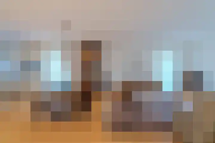 Zilverplak 7 Tegelen thumbnail 8