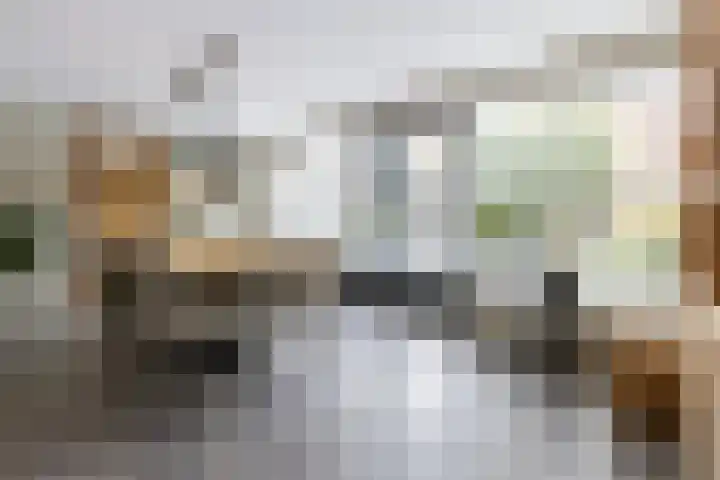 Zilverplevier 17 Bergen op Zoom thumbnail 10