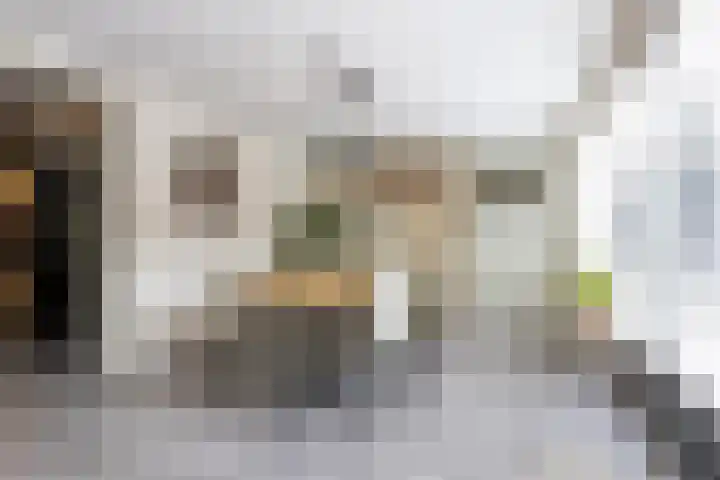 Zilverplevier 17 Bergen op Zoom thumbnail 11