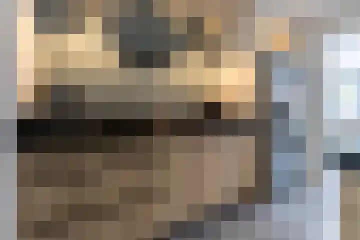 Zilverplevier 17 Bergen op Zoom thumbnail 16