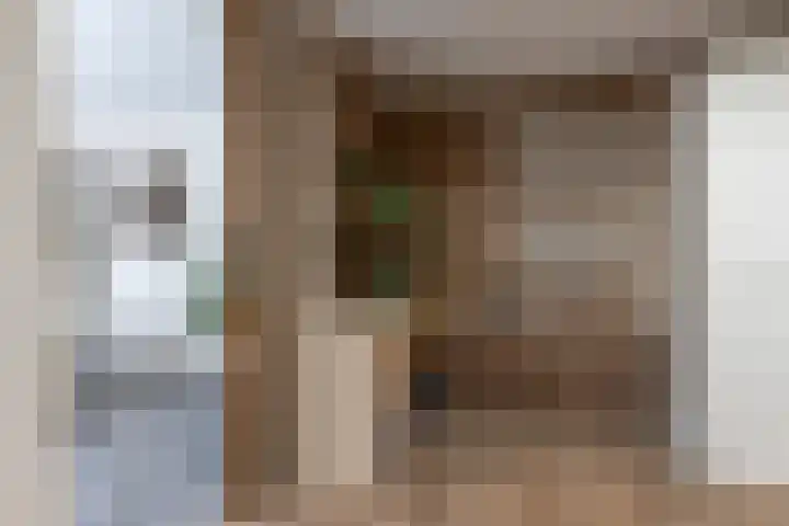 Zilverplevier 17 Bergen op Zoom thumbnail 18