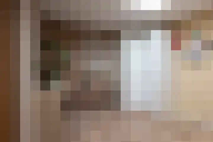 Zilverplevier 17 Bergen op Zoom thumbnail 19