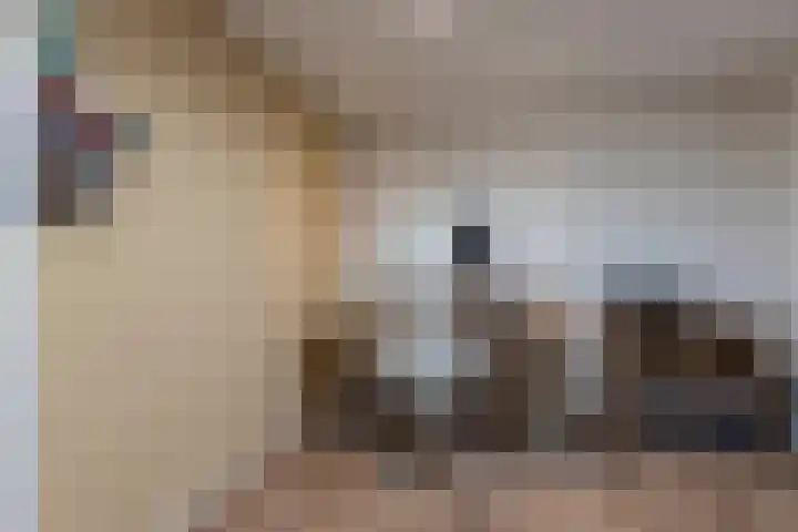 Zilverplevier 17 Bergen op Zoom thumbnail 20