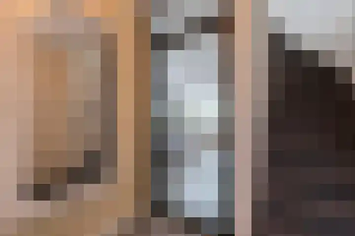 Zilverplevier 17 Bergen op Zoom thumbnail 23
