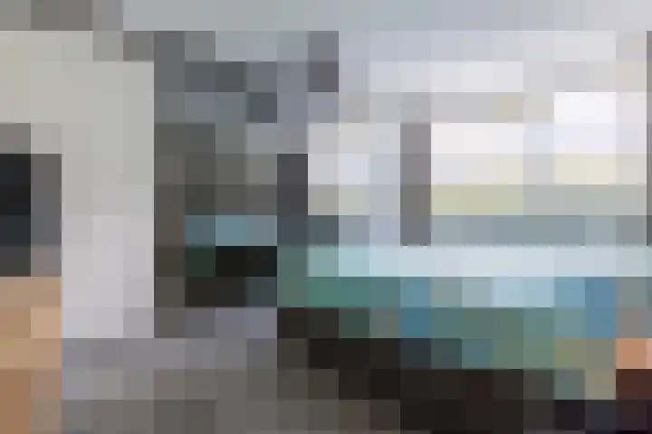 Zilverplevier 17 Bergen op Zoom thumbnail 24
