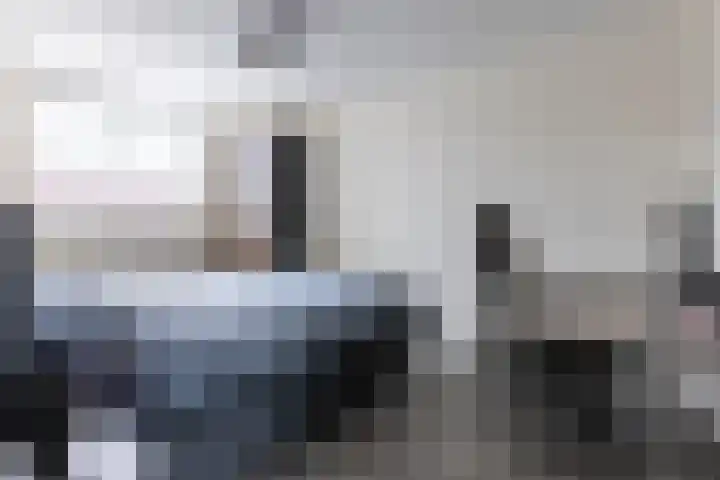 Zilverplevier 17 Bergen op Zoom thumbnail 31