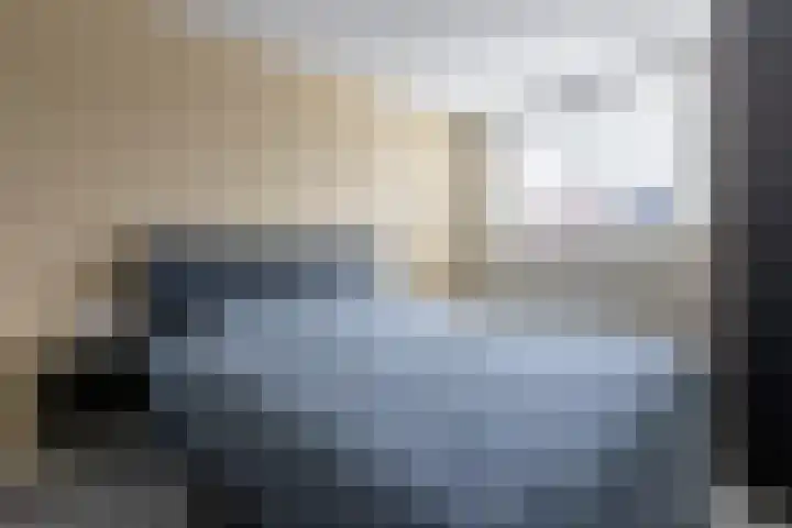 Zilverplevier 17 Bergen op Zoom thumbnail 32