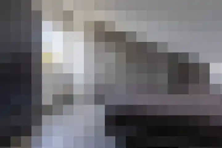 Zilverplevier 17 Bergen op Zoom thumbnail 34
