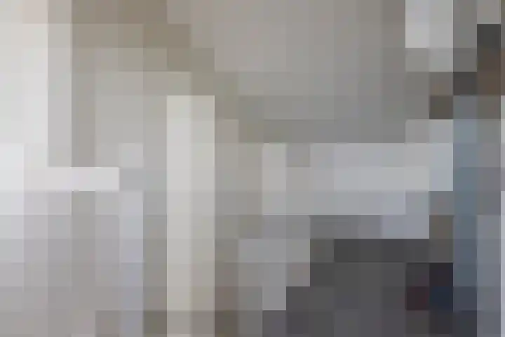 Zilverplevier 17 Bergen op Zoom thumbnail 35