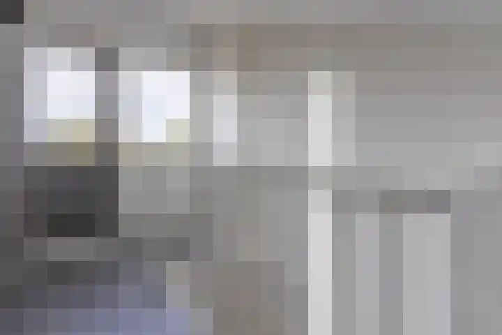 Zilverplevier 17 Bergen op Zoom thumbnail 36