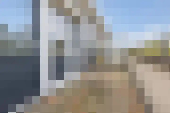Zilverplevier 17 Bergen op Zoom thumbnail 37