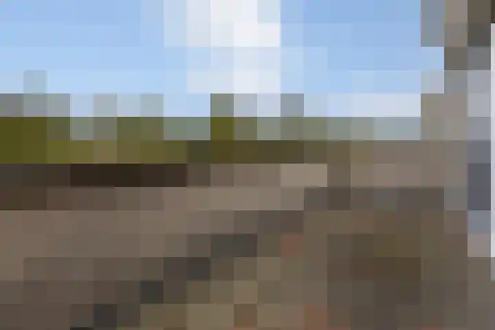 Zilverplevier 17 Bergen op Zoom thumbnail 38