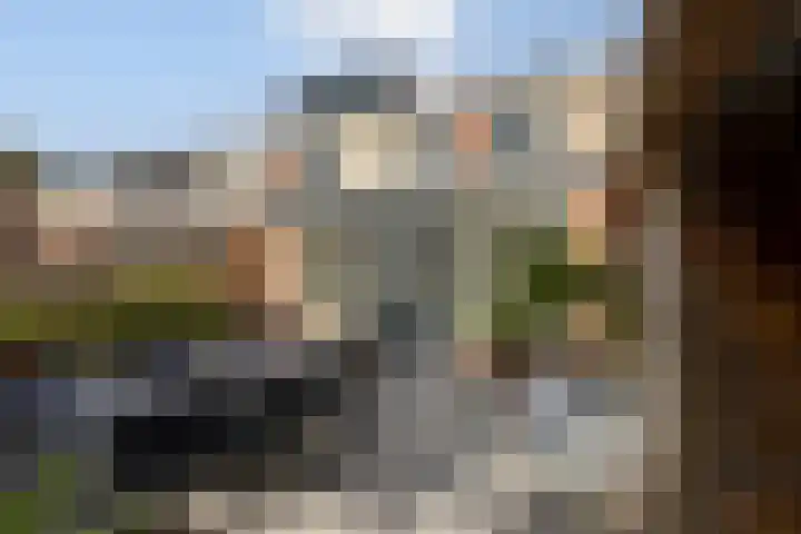 Zilverplevier 17 Bergen op Zoom thumbnail 40