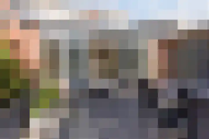 Zilverplevier 17 Bergen op Zoom thumbnail 41