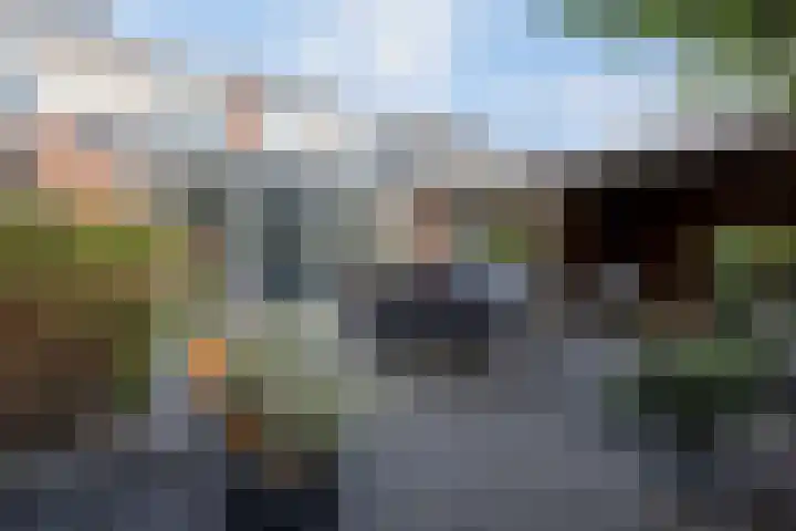 Zilverplevier 17 Bergen op Zoom thumbnail 42
