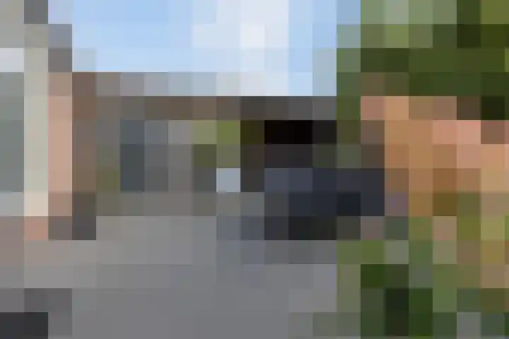 Zilverplevier 17 Bergen op Zoom thumbnail 43