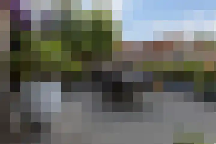 Zilverplevier 17 Bergen op Zoom thumbnail 44