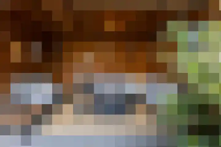 Zilverplevier 17 Bergen op Zoom thumbnail 46