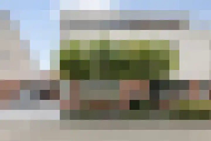 Zilverplevier 17 Bergen op Zoom thumbnail 47