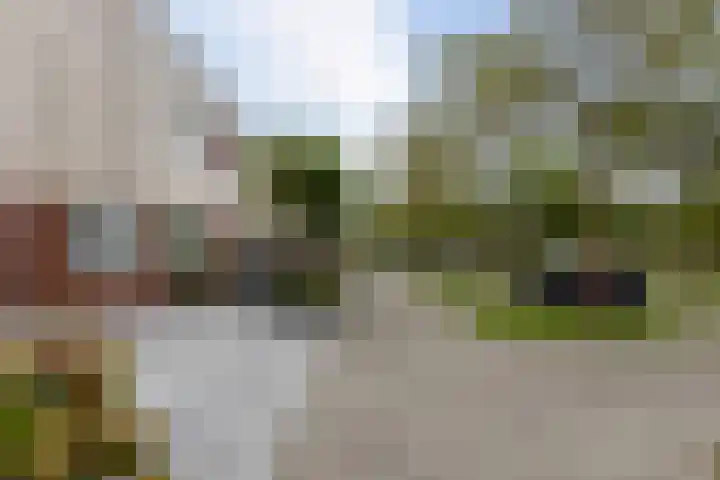 Zilverplevier 17 Bergen op Zoom thumbnail 48