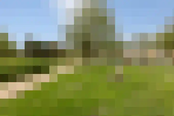 Zilverplevier 17 Bergen op Zoom thumbnail 49