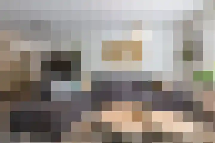 Zilverplevier 17 Bergen op Zoom thumbnail 5