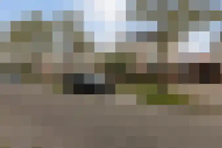 Zilverplevier 17 Bergen op Zoom thumbnail 50
