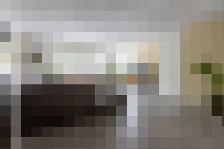 Zilverplevier 17 Bergen op Zoom thumbnail 6
