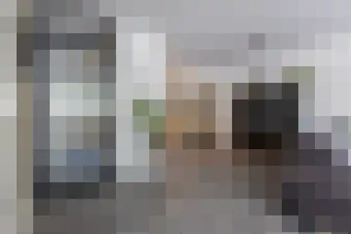 Zilverplevier 17 Bergen op Zoom thumbnail 7