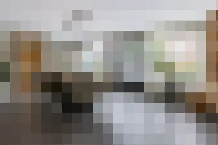 Zilverplevier 17 Bergen op Zoom thumbnail 8
