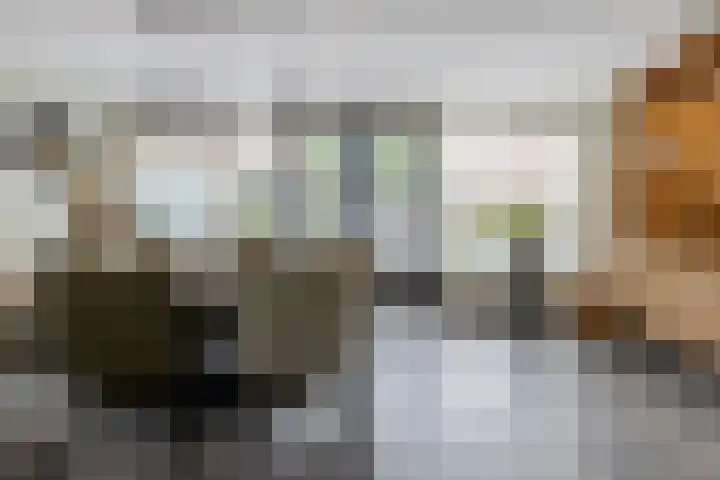 Zilverplevier 17 Bergen op Zoom thumbnail 9