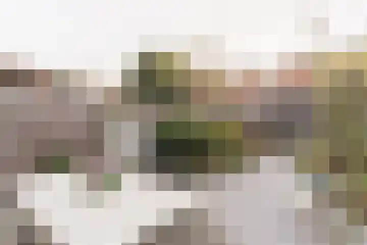 Zilverplevierhof 7 Den Haag thumbnail 10